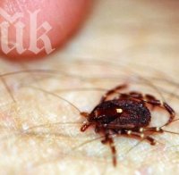 трагедия кърлеж уби мъж пловдив