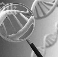 Сензация! Откриха сперматозоиди на 17 млн. години
