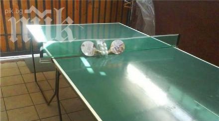 читател пик парадокс смг проваля шампионите отбора тенис маса