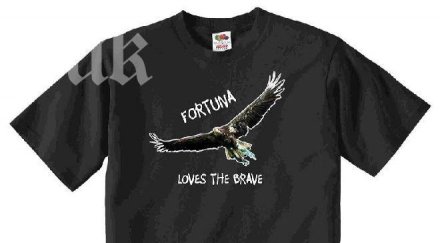 лудогорец пусна уникална фланелка клубния орел