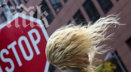 буря отнесе покривите 100 къщи плевенско