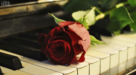 иновативен софтуер създава музикални произведения книги