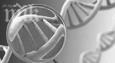 сензация откриха сперматозоиди млн години