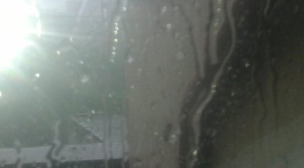 апокалипсис мощен порой удави софия снимки видео