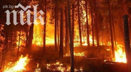 хиляди напуснаха домовете заради огнения южна калифорния