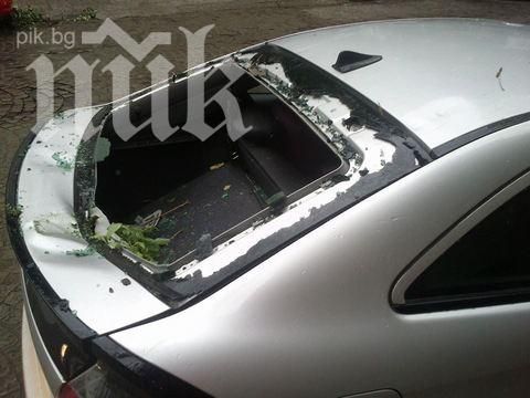 Бурята разцепи дърво и удари кола с малко дете!