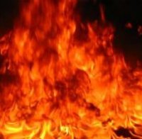 Пожар опърли крави и телета