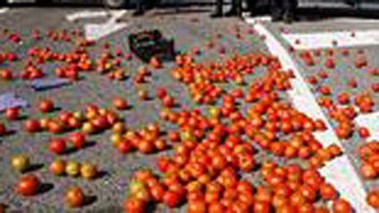 файненшъл таймс дали людмила живкова подкрепила доматената революцияя