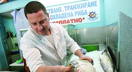 акция шаран лови развалена риба