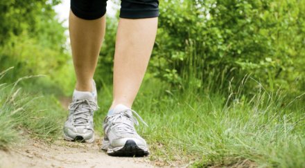 6000 крачки ключът здравето леличките