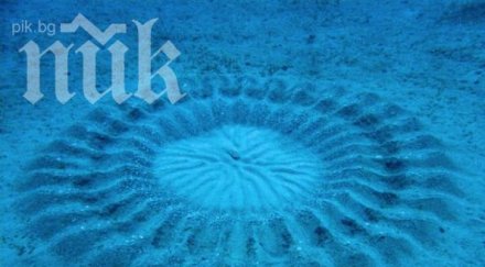 мистериозни кръгове появиха адриатическо море