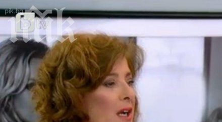 катето евро отглежда глутница бездомни песове