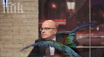 голям сеир папагалът слави изяде сценария дългия глобява бавачката пилето