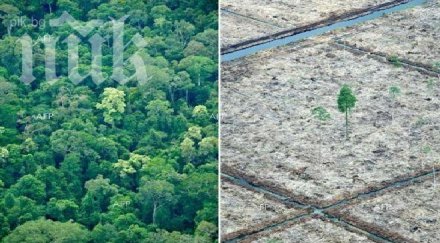 американският щат калифорния обхванат засушаване