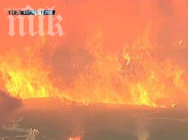 Ботев (Пд) олеква с 500 бона заради погромите (видео)