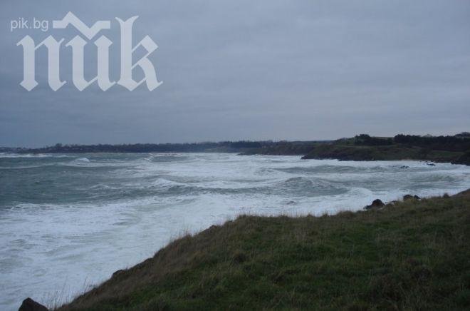 Порой удави и варненци