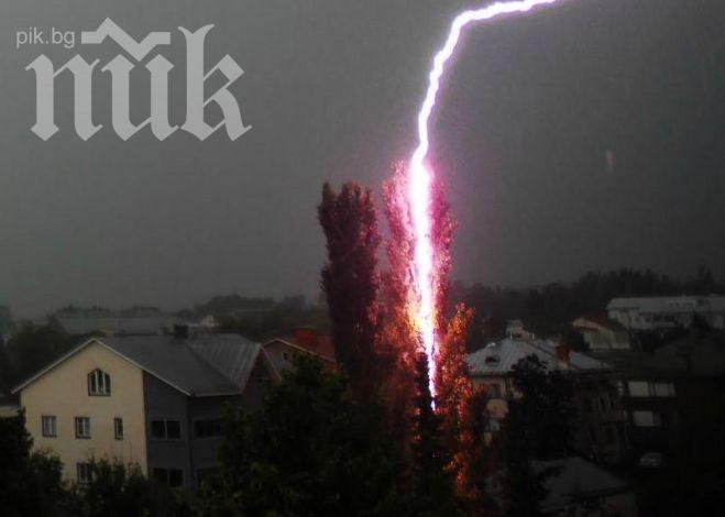 Шокиращ инцидент! Мълния удари публиката на конно състезание в Шумен, четирима са в болница (обновена)