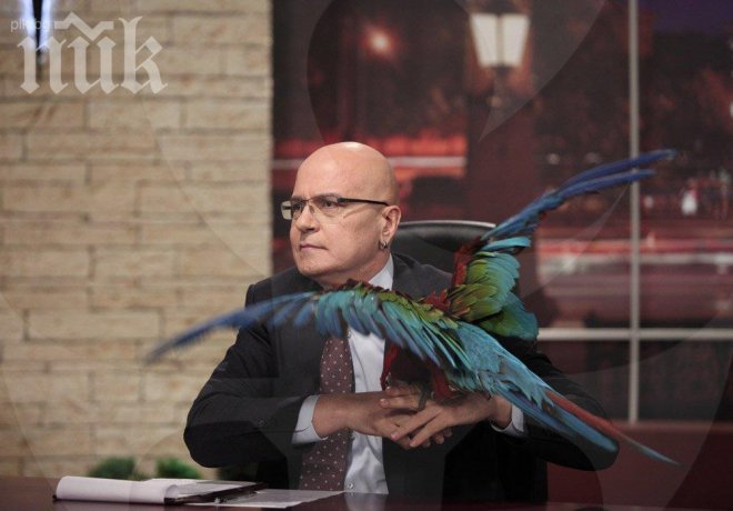 Голям сеир! Папагалът на Слави му изяде сценария, Дългия глобява бавачката на Пилето
