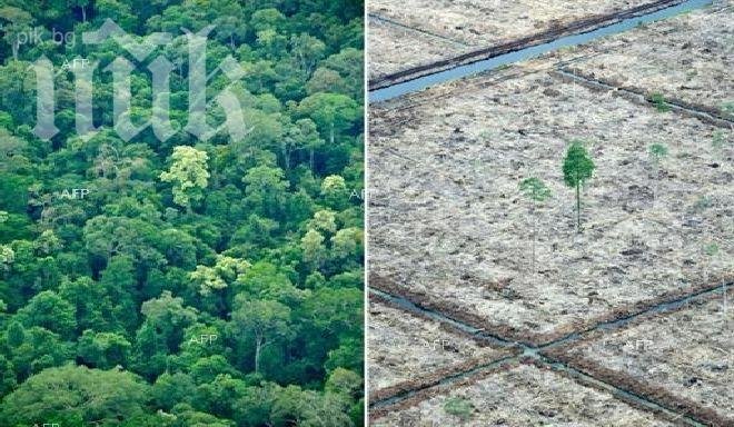 Американският щат Калифорния е обхванат от засушаване