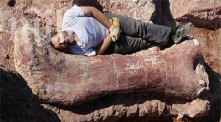 откриха големия динозавър живял земята