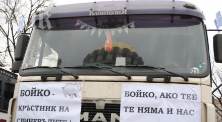 овцете подкрепят бойко