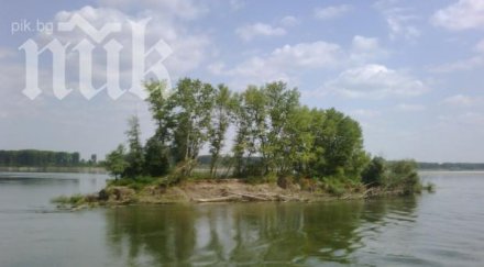 нивото дунав видин покачи