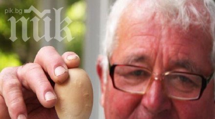 уникално слънце появи кокоше яйце великотърновско