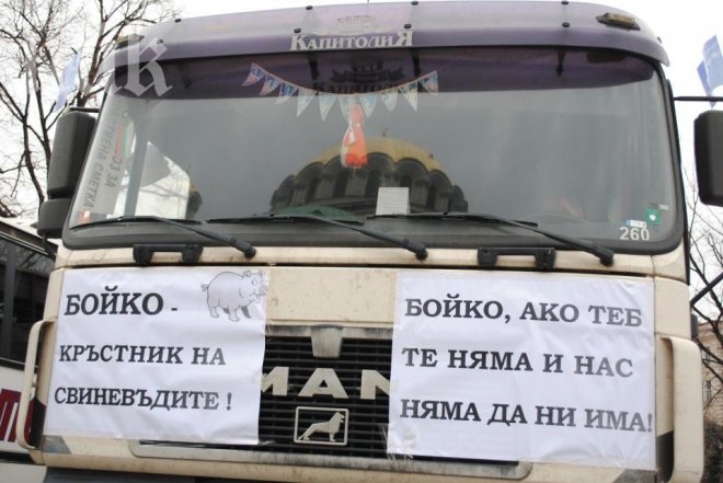 Защо овцете подкрепят Бойко 