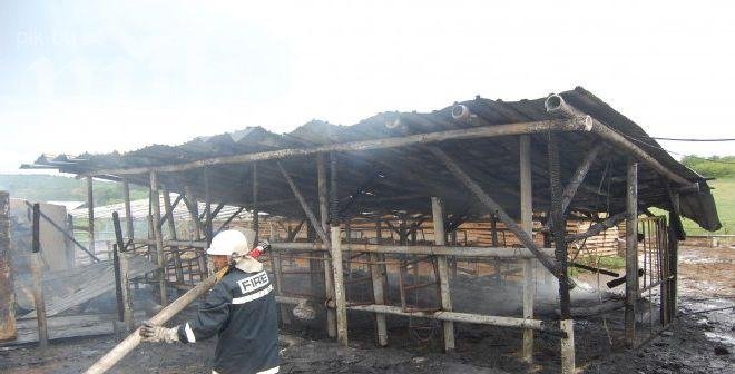 Горя ферма с животни в Харманлийско (снимки)