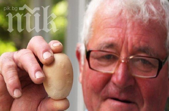 Уникално! Слънце се появи върху кокоше яйце във Великотърновско