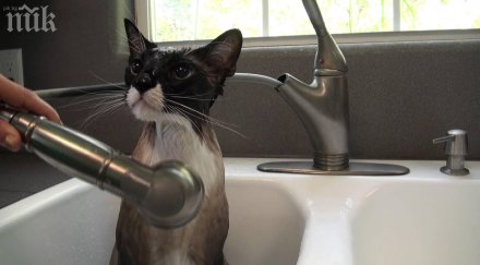 авария остави столични квартали без топла вода