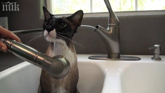 Авария остави столични квартали без топла вода