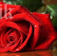 В Казанлък бе открита Улица на занаятите 