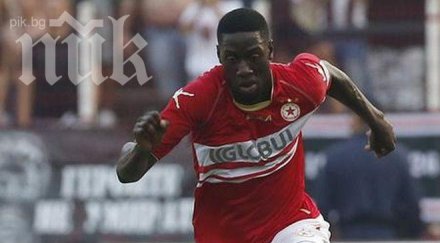 любимец сектор празнува рожден ден