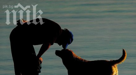 трогателно притча приятелството струва прочетете осмислите