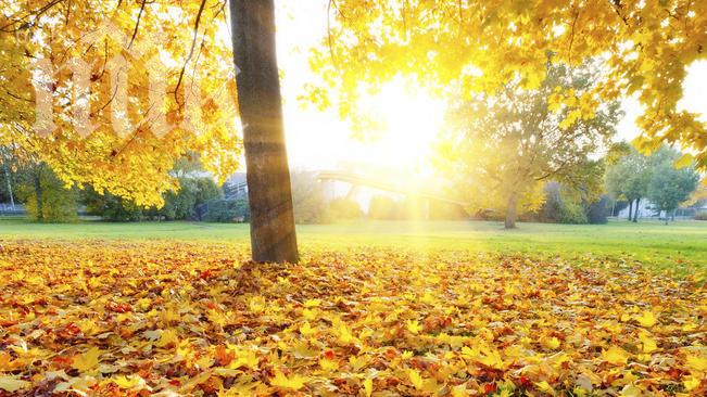 Метеоролози от БАН: Утре ни очаква страшен пек - 32 градуса, ще има и валежи обаче!