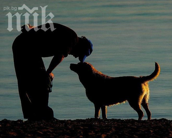 Трогателно! Притча за приятелството, която си струва да прочетете и осмислите