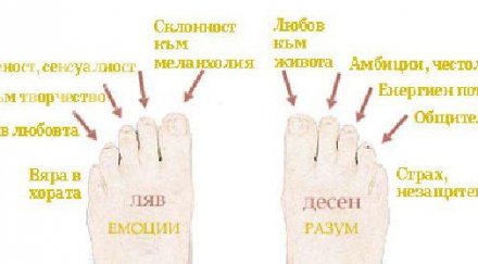 вижте формата краката разкрива съдбата