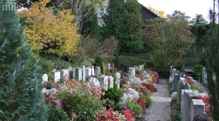 гробищна шефка зарови живи хора