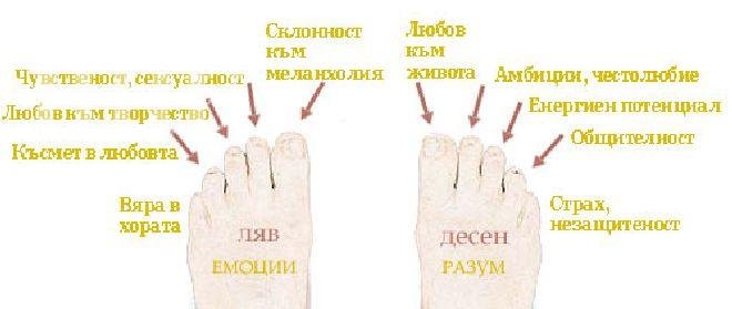 Вижте как формата на краката разкрива съдбата ни!