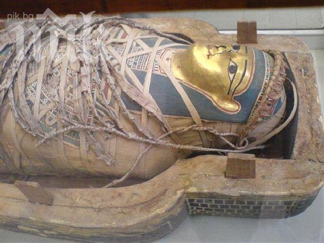 Чилийски ученици намериха мумия на 7000 години