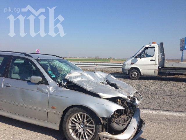 Жена загина в катастрофа на Тракия, двамата й синове и съпругът й са в болница