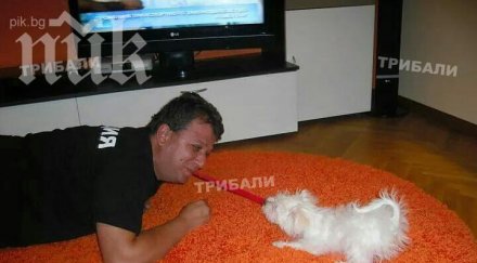 скандал полицай тормози охранители частен сод враца