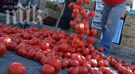 триумф розовият домат куртово конаре влезе световна съкровищница вкусове