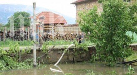 пороят каравелово удави попа реколтата кметството снимки