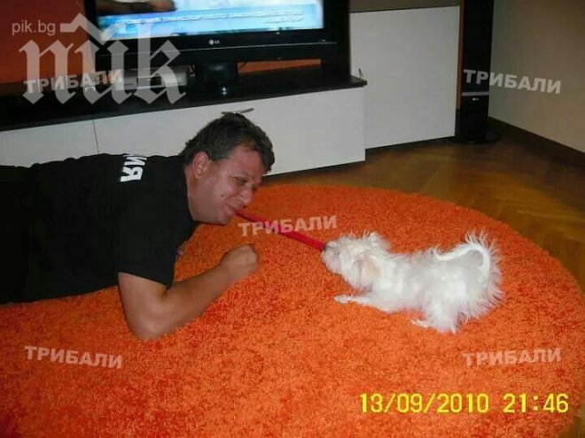 Скандал! Полицай тормози охранители от частен СОД във Враца