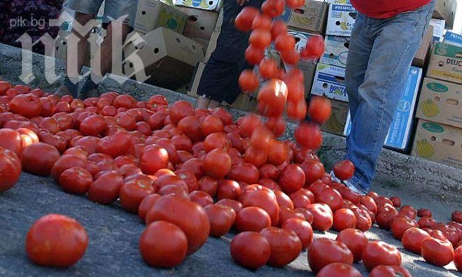 Триумф! Розовият домат от Куртово Конаре влезе в световна съкровищница на вкусове