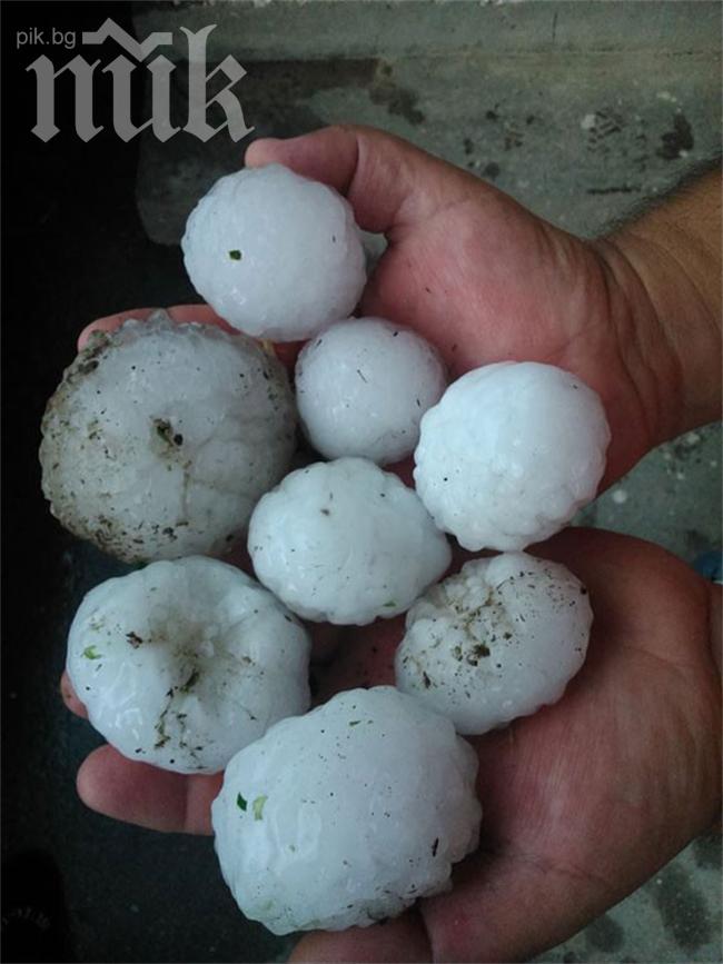 Бедствие! Градушка с размер на яйце потроши коли в Провадия (снимки + видео)