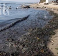 Тонове мръсотия се вливат в морето на Варна заради запушен канал