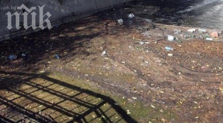 фекални води изливат морето лозенец